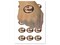 Tyrannosaurus Rex Skull Fossil Temporary Tattoo Water Resistant Fake Body Art Set Collection (1 Sheet)